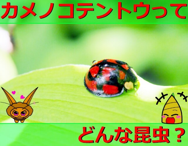 Thumbnail of post image 164